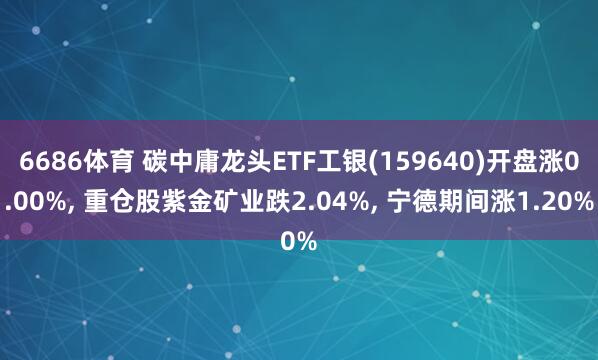 6686体育 碳中庸龙头ETF工银(159640)开盘涨0.00%, 重仓股紫金矿业跌2.04%, 宁德期间涨1.20%