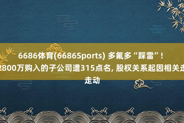 6686体育(6686Sports) 多氟多“踩雷”! 超2800万购入的子公司遭315点名， 股权关系起因相关走动