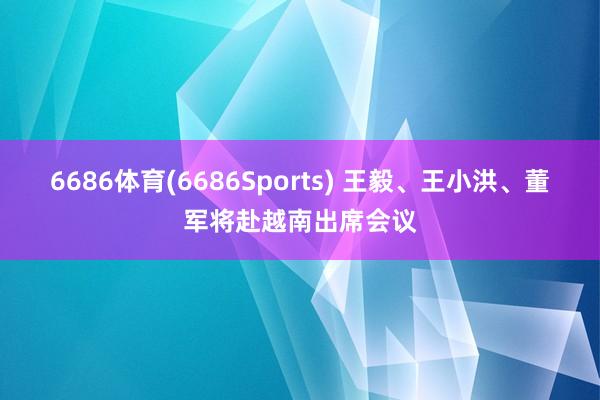 6686体育(6686Sports) 王毅、王小洪、董军将赴越南出席会议