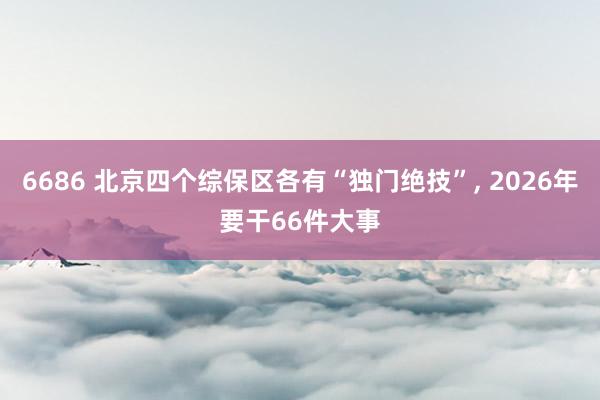 6686 北京四个综保区各有“独门绝技”, 2026年要干66件大事