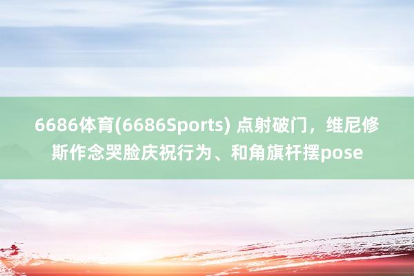 6686体育(6686Sports) 点射破门，维尼修斯作念哭脸庆祝行为、和角旗杆摆pose