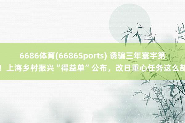 6686体育(6686Sports) 诱骗三年寰宇第一！上海乡村振兴“得益单”公布，改日重心任务这么部署