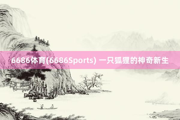 6686体育(6686Sports) 一只狐狸的神奇新生