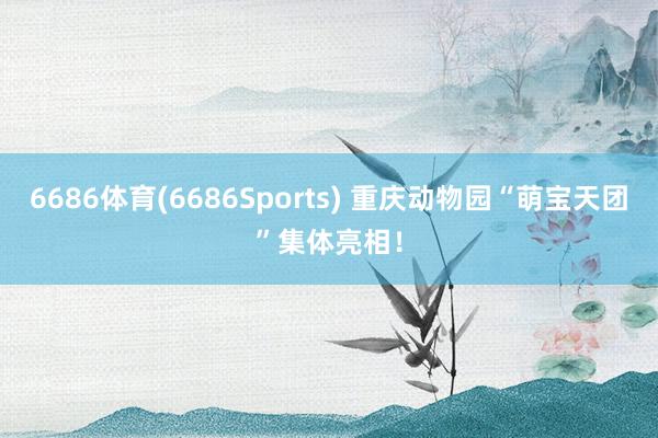 6686体育(6686Sports) 重庆动物园“萌宝天团”集体亮相！