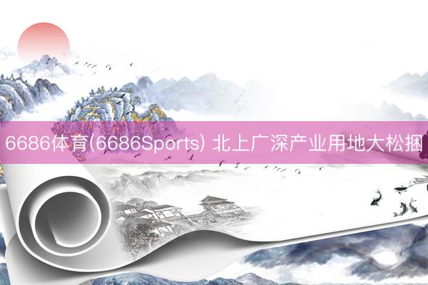 6686体育(6686Sports) 北上广深产业用地大松捆