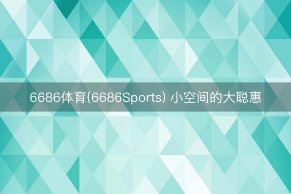 6686体育(6686Sports) 小空间的大聪惠
