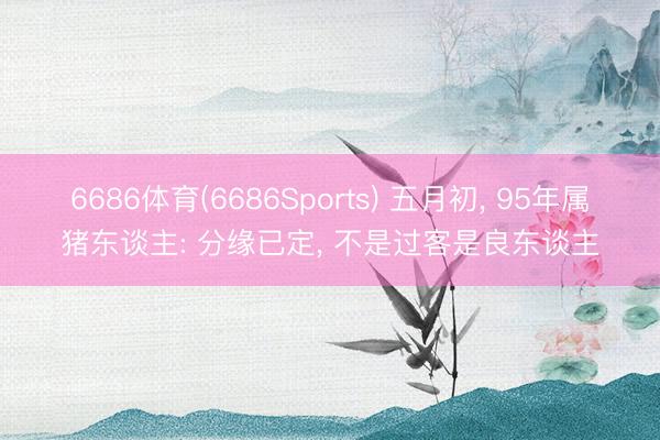 6686体育(6686Sports) 五月初， 95年属猪东谈主: 分缘已定， 不是过客是良东谈主