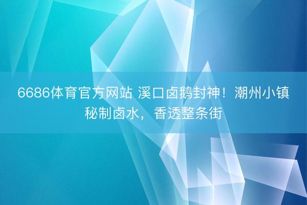 6686体育官方网站 溪口卤鹅封神！潮州小镇秘制卤水，香透整条街