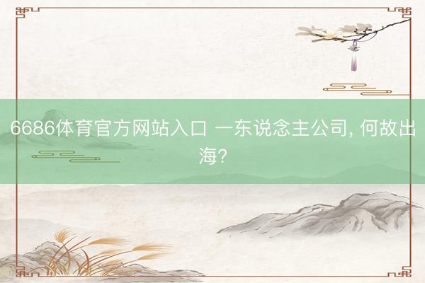 6686体育官方网站入口 一东说念主公司， 何故出海?