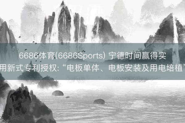 6686体育(6686Sports) 宁德时间赢得实用新式专利授权: “电板单体、电板安装及用电培植”