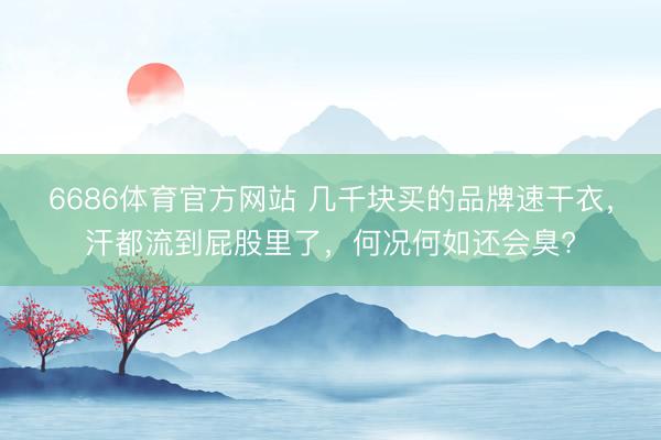 6686体育官方网站 几千块买的品牌速干衣，汗都流到屁股里了，何况何如还会臭?