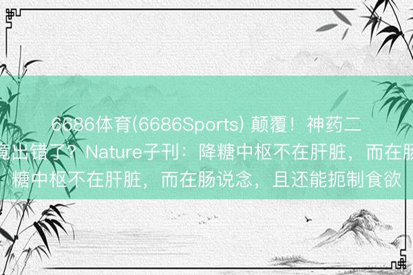 6686体育(6686Sports) 颠覆!神药二甲双胍,经典降糖机制竟出错了?Nature子刊:降糖中枢不在肝脏,而在肠说念,且还能扼制食欲