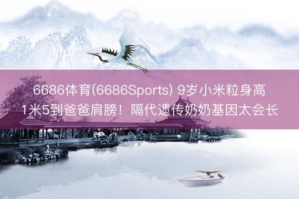 6686体育(6686Sports) 9岁小米粒身高1米5到爸爸肩膀!隔代遗传奶奶基因太会长