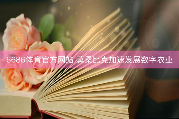 6686体育官方网站 莫桑比克加速发展数字农业