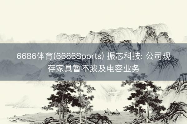 6686体育(6686Sports) 振芯科技: 公司现存家具暂不波及电容业务