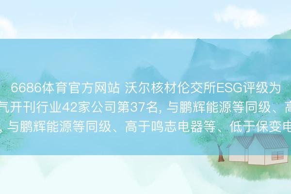 6686体育官方网站 沃尔核材伦交所ESG评级为D+， 位居GICS三级电气开刊行业42家公司第37名， 与鹏辉能源等同级、高于鸣志电器等、低于保变电气等